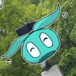 識